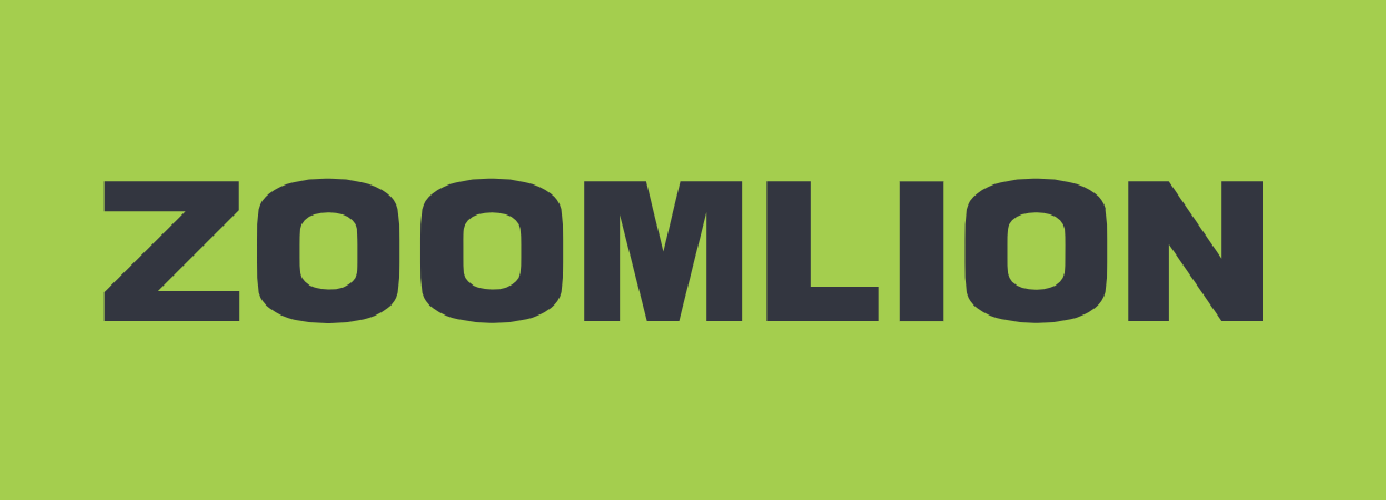 Zoomlion